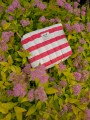 113746.jpg